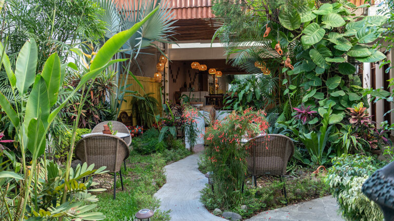 Hotel casa los cantaros oaxaca
